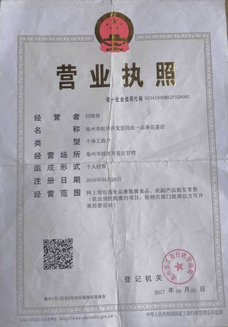 金丝黄菊