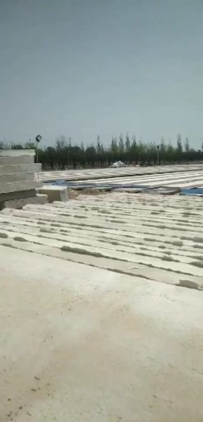 专业搭建温室养殖鸡鸭猪舍大棚