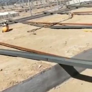 专业搭建温室养殖鸡鸭猪舍大棚
