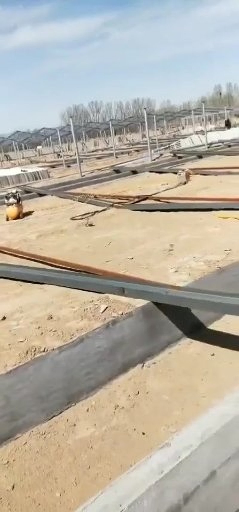 专业搭建温室养殖鸡鸭猪舍大棚
