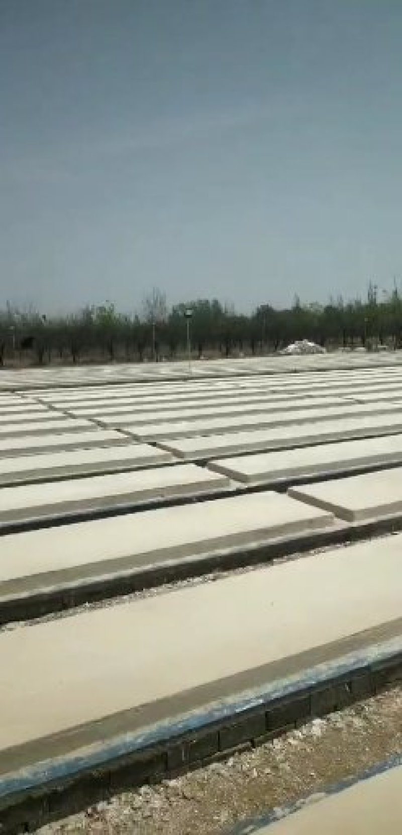 专业搭建温室养殖鸡鸭猪舍大棚