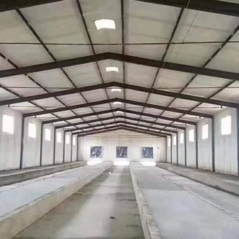专业搭建温室养殖鸡鸭猪舍大棚