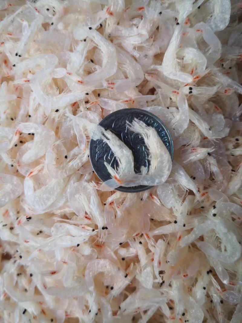 虾皮……干淡是馈赠亲友佳品
