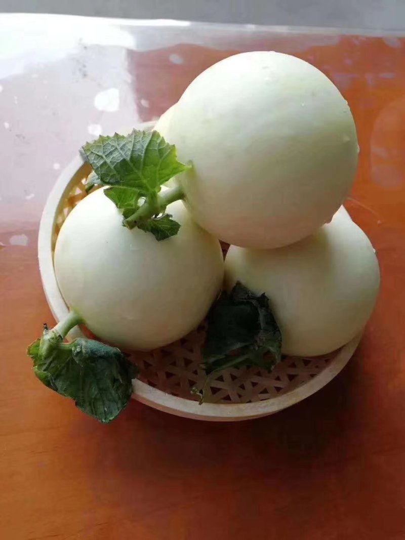 脆梨甜瓜九红瑞香瓜网纹哈密瓜彩虹西瓜可供一件代发
