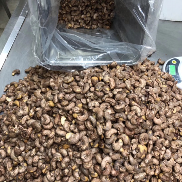 新货到180带衣腰果