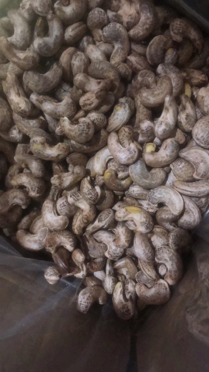 新货到180带衣腰果