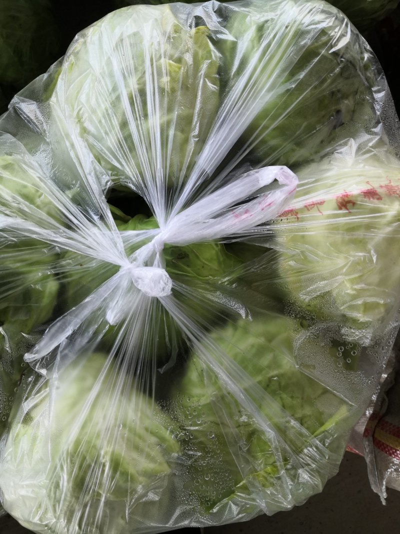 加工厂甘蓝，水饺厂甘蓝，养殖场甘蓝，价格便宜