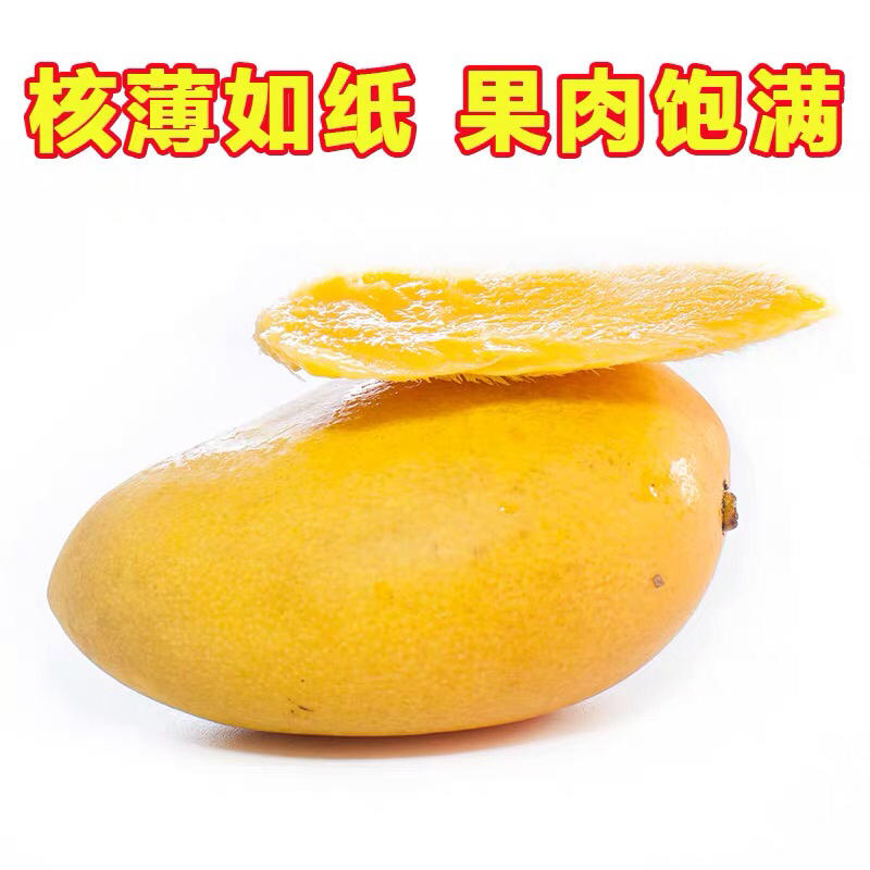 芒果小台农芒果台芒一件代发电商供应社区团购水果
