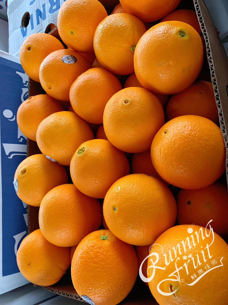 美国新奇士橙子水分足，果身硬欢迎个大渠道对接