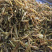 素馨花批发药厂等用料