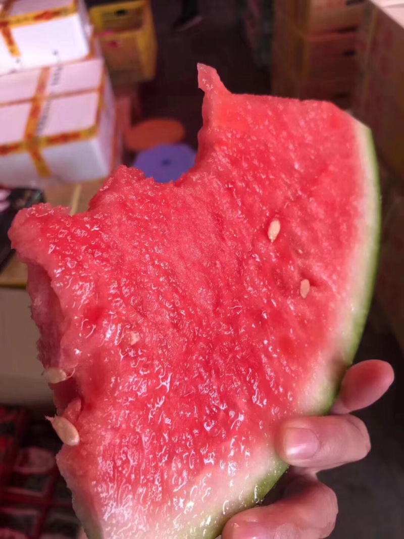 战神甘美西瓜清热解暑，爽甜可口，欢迎个大渠道对接