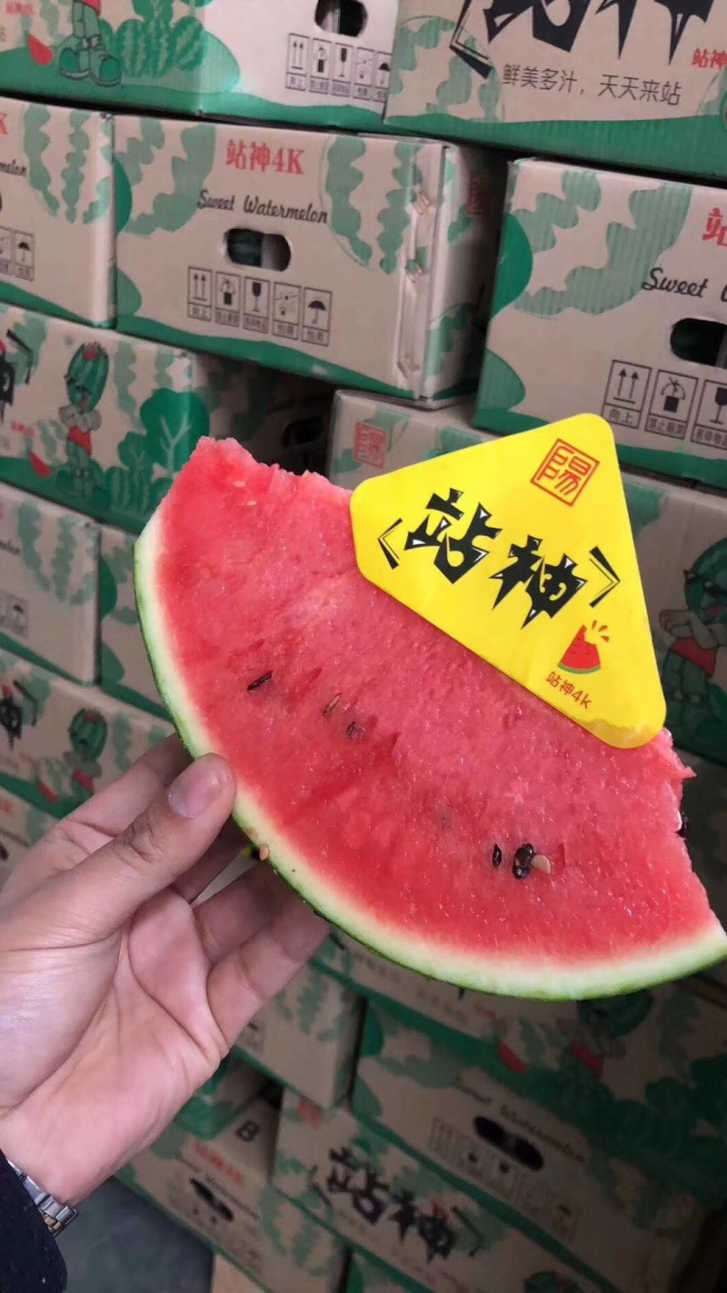 战神甘美西瓜清热解暑，爽甜可口，欢迎个大渠道对接