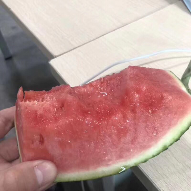 战神甘美西瓜清热解暑，爽甜可口，欢迎个大渠道对接