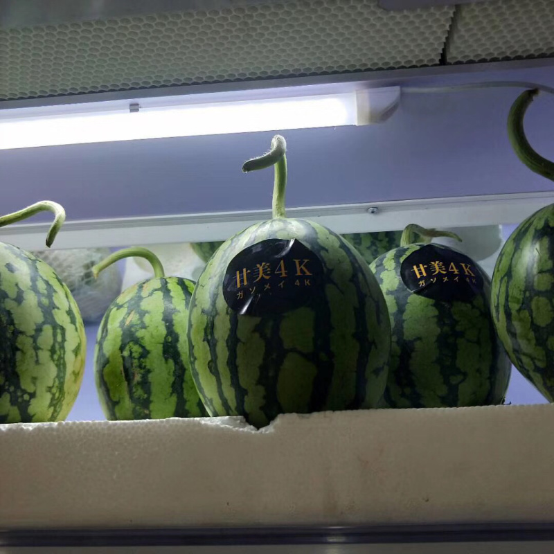 战神甘美西瓜清热解暑，爽甜可口，欢迎个大渠道对接