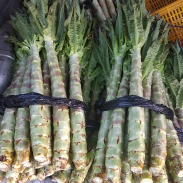 紫叶香莴笋，红香莴笋。