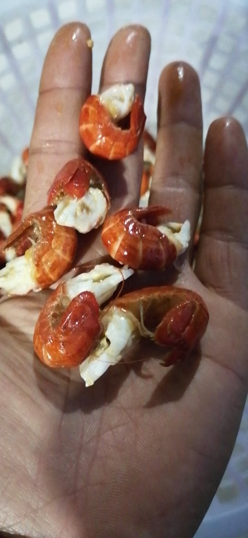 虾尾，鲜虾尾，冻虾尾，虾尾