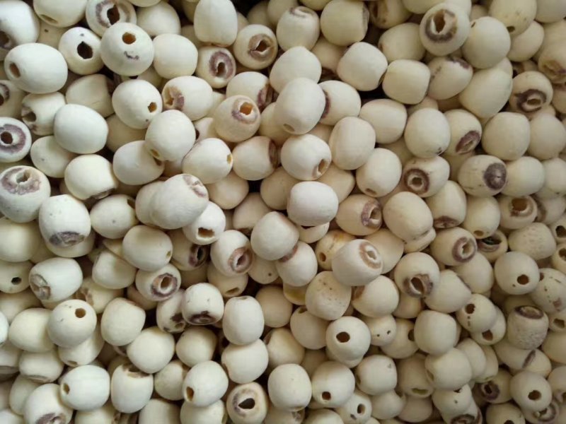 白莲子特级无硫去芯磨皮湘莲过筛精品特大一号莲子干货