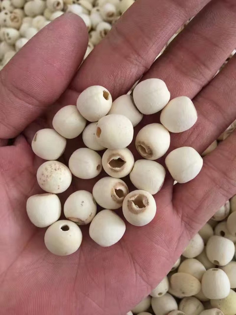 白莲子特级无硫去芯磨皮湘莲过筛精品特大一号莲子干货