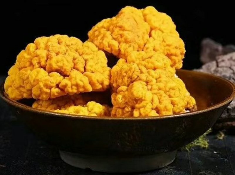 金耳菌种新鲜金耳长期供应