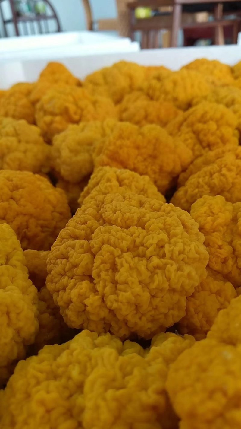 金耳菌种新鲜金耳长期供应