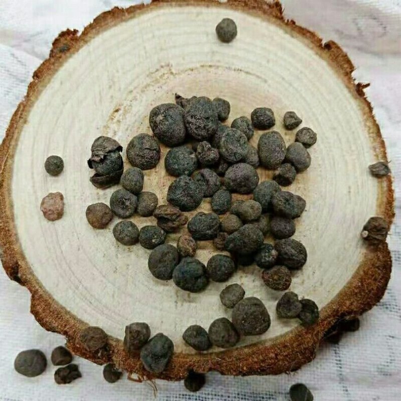 入地珍珠，地下明珠产地直供，道地药材，药典标准支持线上交