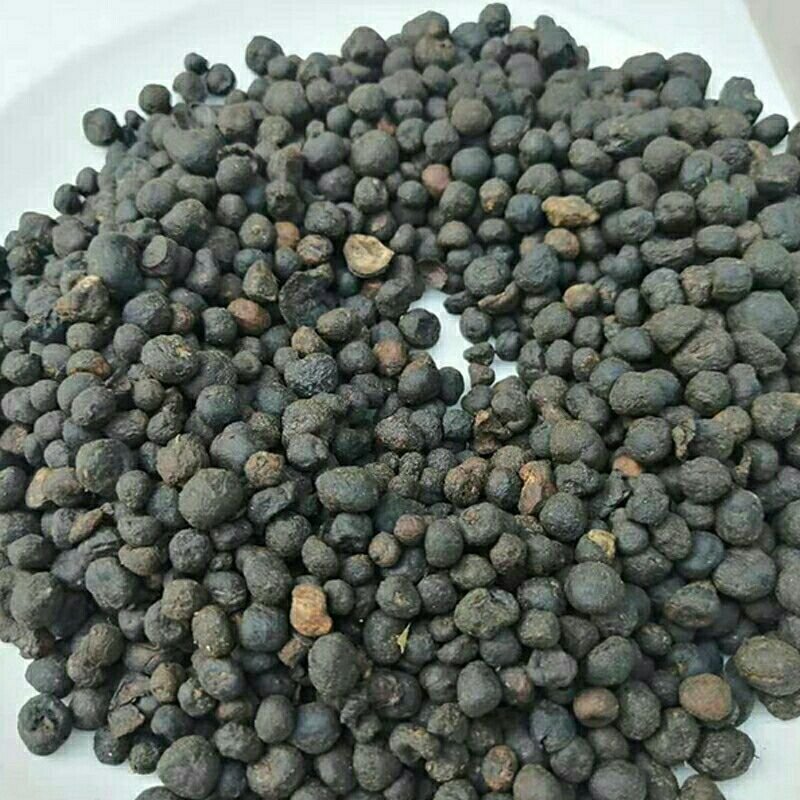 入地珍珠，地下明珠产地直供，道地药材，药典标准支持线上交