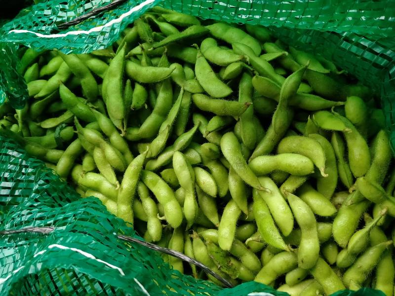毛豆广西特早绿宝石毛豆，颗粒饱满，产地提供便宜回程车冷藏