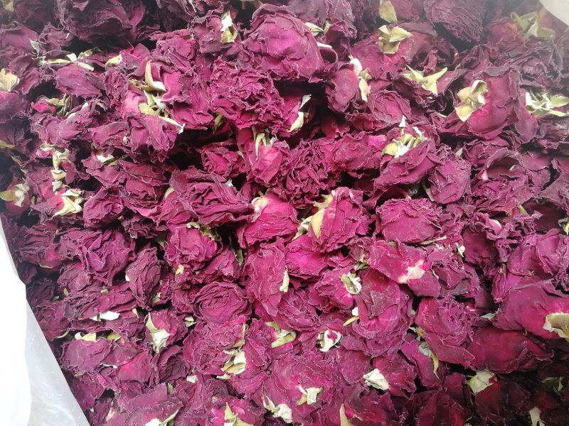 墨红玫瑰墨红干花冻干墨红玫瑰朱墨双辉产地货源