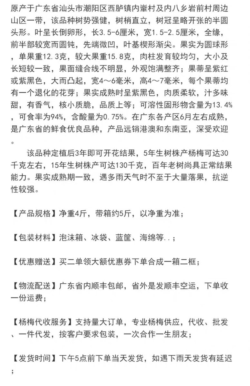 乌稣杨梅新鲜现摘广东汕头金灶产地批发一件代发