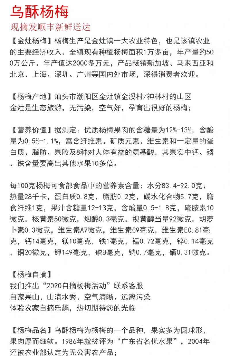 乌稣杨梅新鲜现摘广东汕头金灶产地批发一件代发
