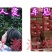 乌稣杨梅新鲜现摘广东汕头金灶产地批发一件代发