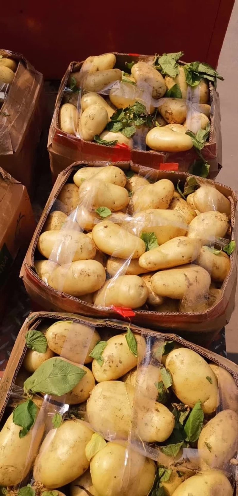 产地直供，颜色亮，薯形光滑，芽眼浅，无黑心，量大从优
