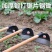 全新包邮锄草神器锄地除草锄头专用全钢加厚农具大宽户外挖土