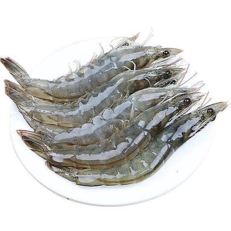 精品盐水大对虾，各种规格