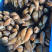鲜活无沙海产大蛏王，海蛏，竹节蛏