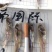小鱼干零售价25到30一斤干度好完整度高