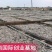 小鱼干零售价25到30一斤干度好完整度高