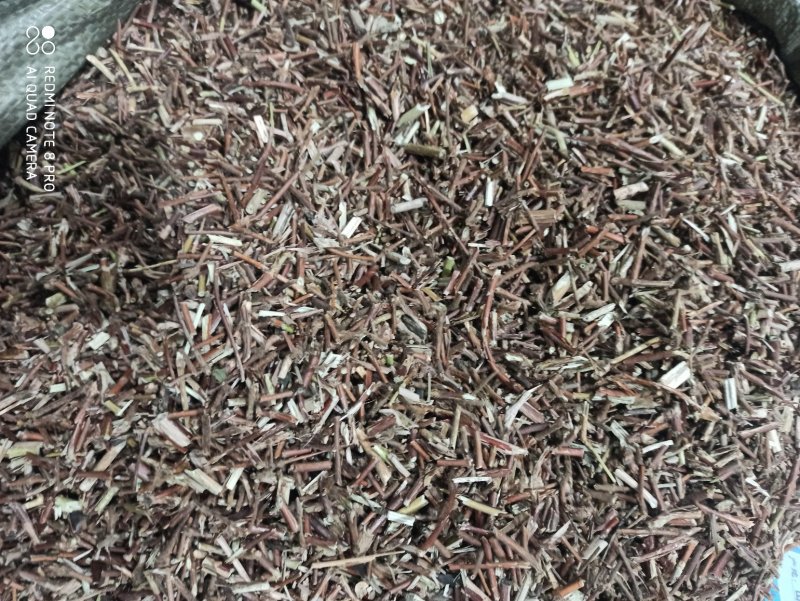忍冬藤批发零售中药材正品保障各种规格专业经营中药