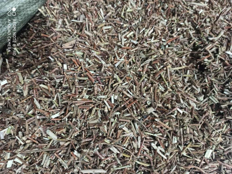 忍冬藤批发零售中药材正品保障各种规格专业经营中药