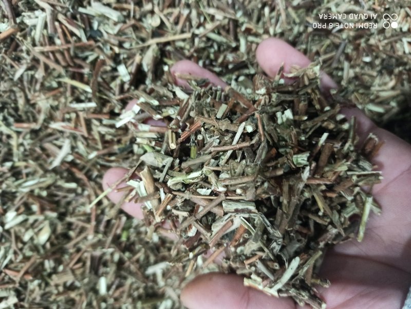 忍冬藤批发零售中药材正品保障各种规格专业经营中药