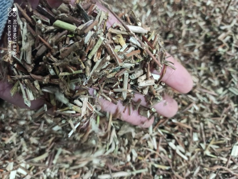 忍冬藤批发零售中药材正品保障各种规格专业经营中药