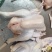 正宗三黄鸡，广西三黄鸡