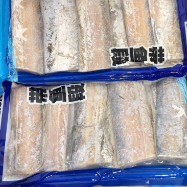 新鲜冷冻去头去尾，无冰衣带鱼中段