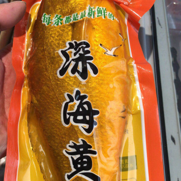 新鲜冷冻黄花鱼无冰衣单体冷冻大黄鱼