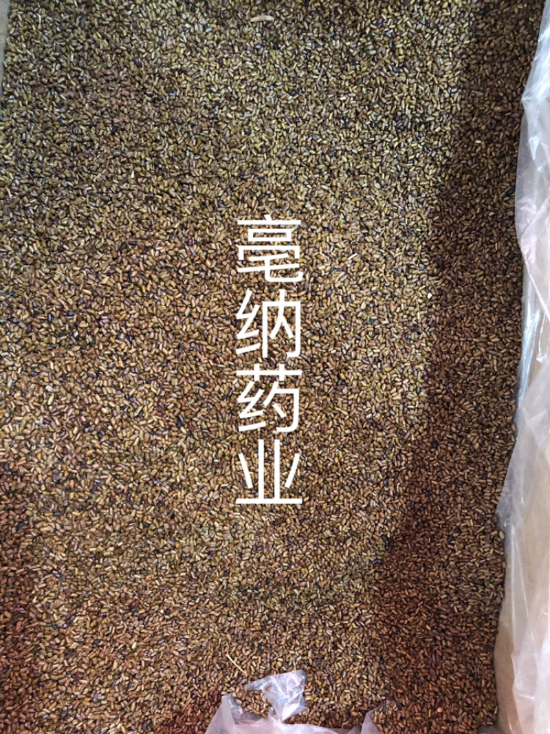 决明子中药材国产决明子茶1⃣️公斤起批