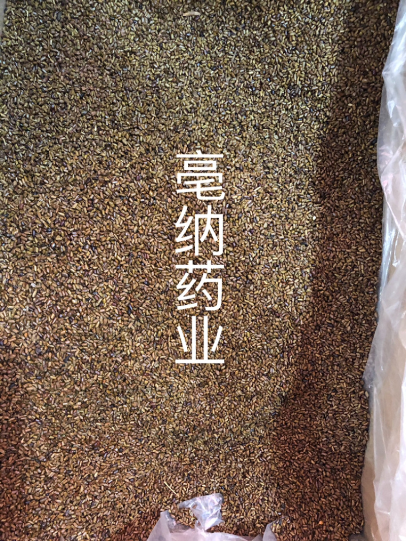决明子中药材国产决明子茶1⃣️公斤起批