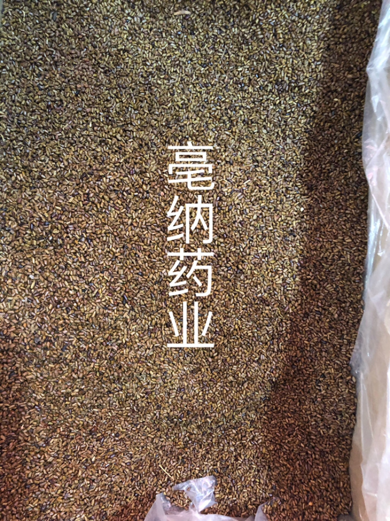 决明子中药材国产决明子茶1⃣️公斤起批