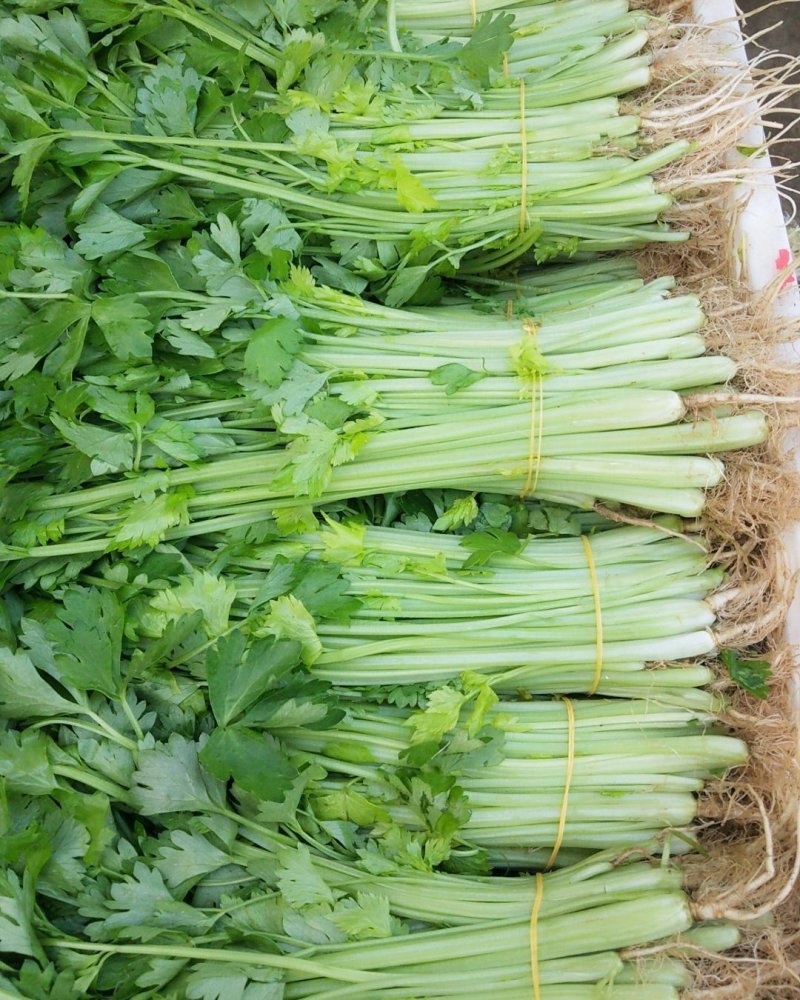 芹菜