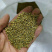 【精品】江苏种子新型狼尾草种子多年生牧草进口草籽