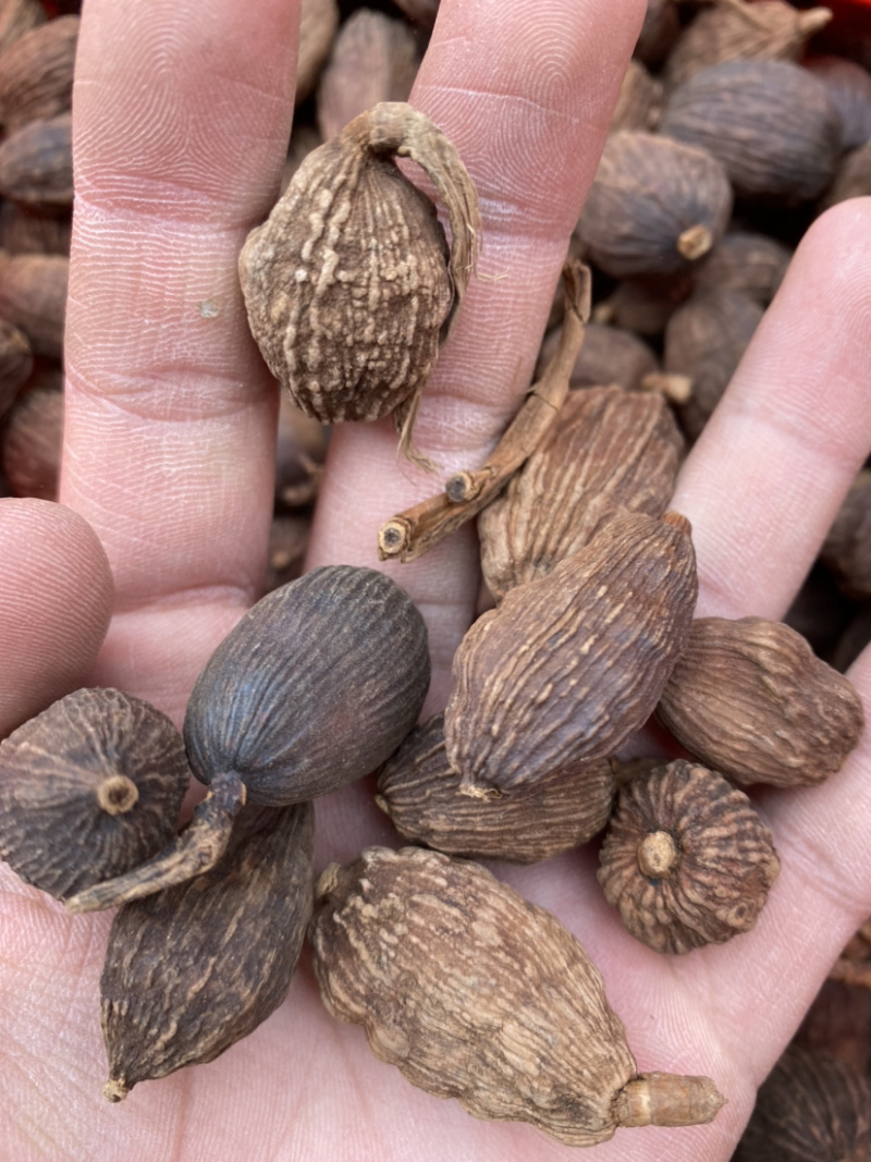 草果各种中药材香料批发量大从优实物拍摄保质保量